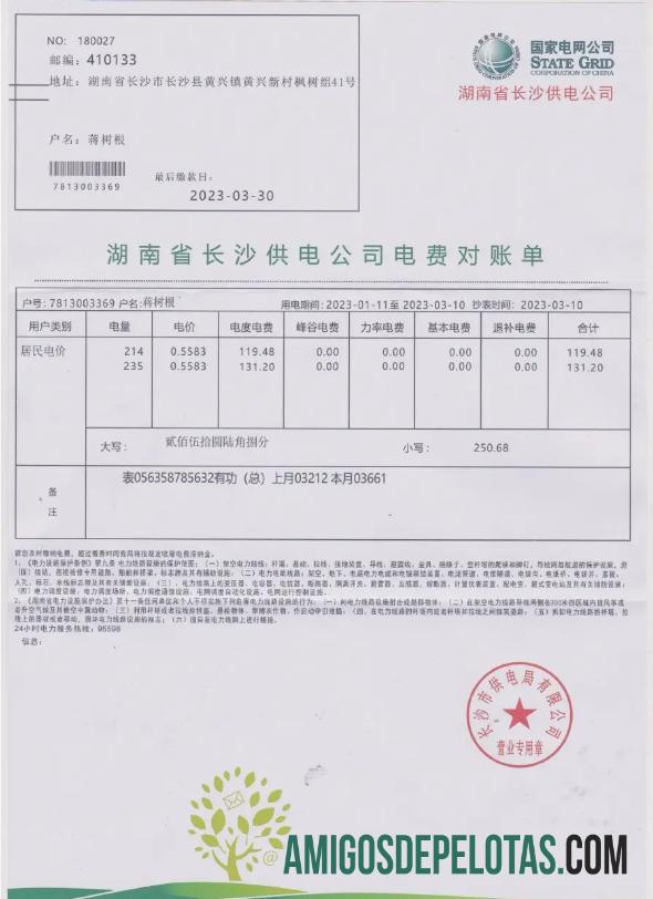 realista CHINA STATE POWER GRID Projeto de conta de serviços públicos Word e modelo PDF